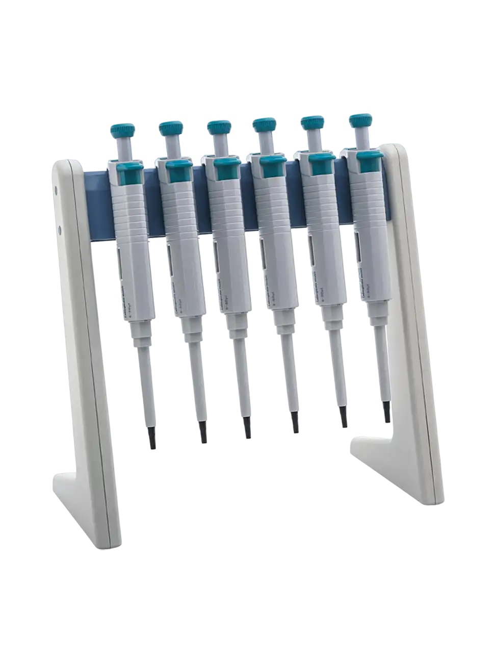ISOLAB Mikropipet Standı - 6 Pipet İçin - Kutusuz