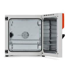 Binder BF 115 Fanlı 114 Litre İnkübatör +5°C ... +100°C