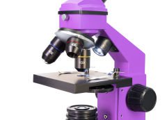 LEVENHUK Rainbow 2L PLUS Mikroskop Amethyst