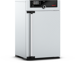 Memmert UF75 Fanlı Etüv 74 Litre ( Kuru Hava Sterilizatörü ) +20°C ... +300°C