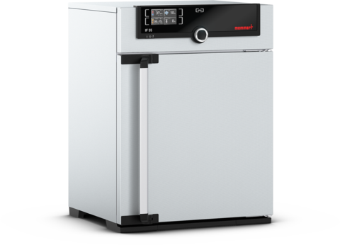 Memmert IF55 Fanlı İnkübatör 53 Litre +20°C ... +80°C