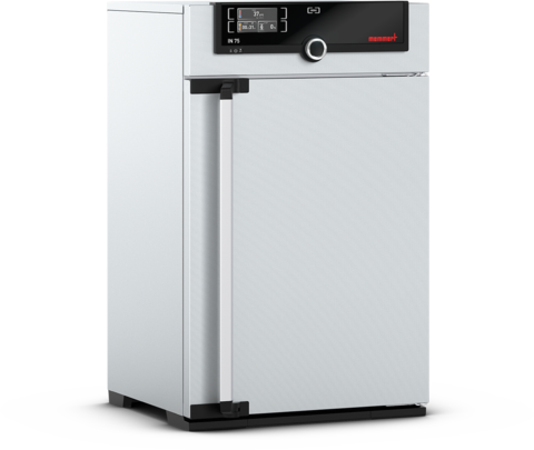 Memmert IF75 Fanlı İnkübatör 74 Litre +20°C ... +80°C