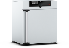 Memmert IF110 Fanlı İnkübatör 108 Litre +20°C ... +80°C