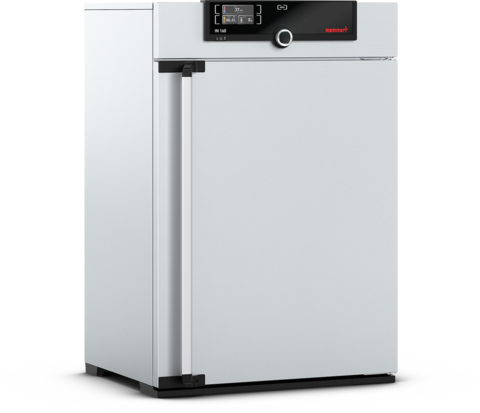 Memmert IF160 Fanlı İnkübatör 161 Litre +20°C ... +80°C