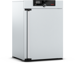 Memmert IF260 Fanlı İnkübatör 256 Litre +20°C ... +80°C